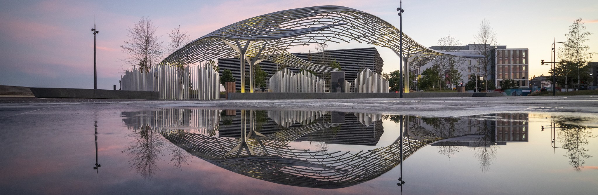 Equality Matters in Dundee Health and Social Care Partnership image